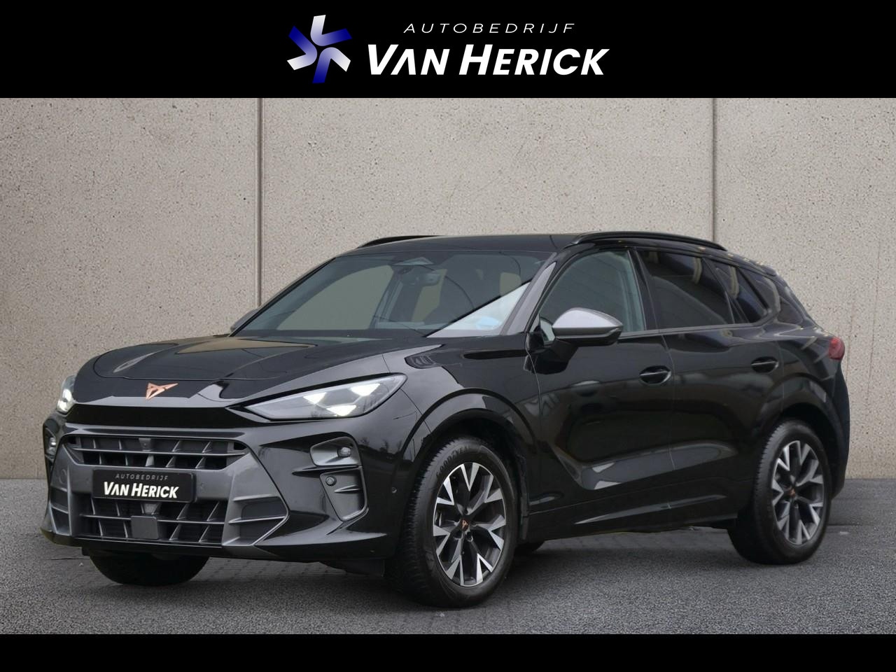 CUPRA Terramar - 1.5 eTSI Business 150PK Automaat | ACC | 360 graden Camera | Ambient Light - AutoWereld.nl