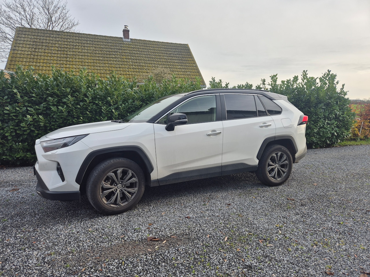 Toyota RAV4 - 2.5 Hybrid AWD Executive - AutoWereld.nl