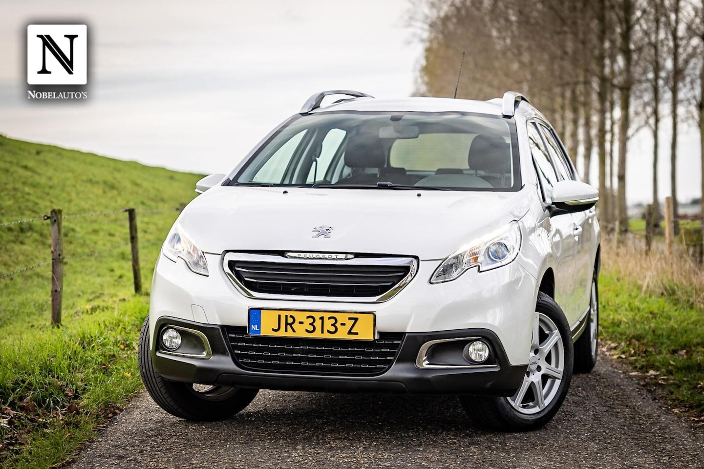 Peugeot 2008 - 1.2 PureTech Blue Lion| Nap | Trekhaak | Cruise - AutoWereld.nl