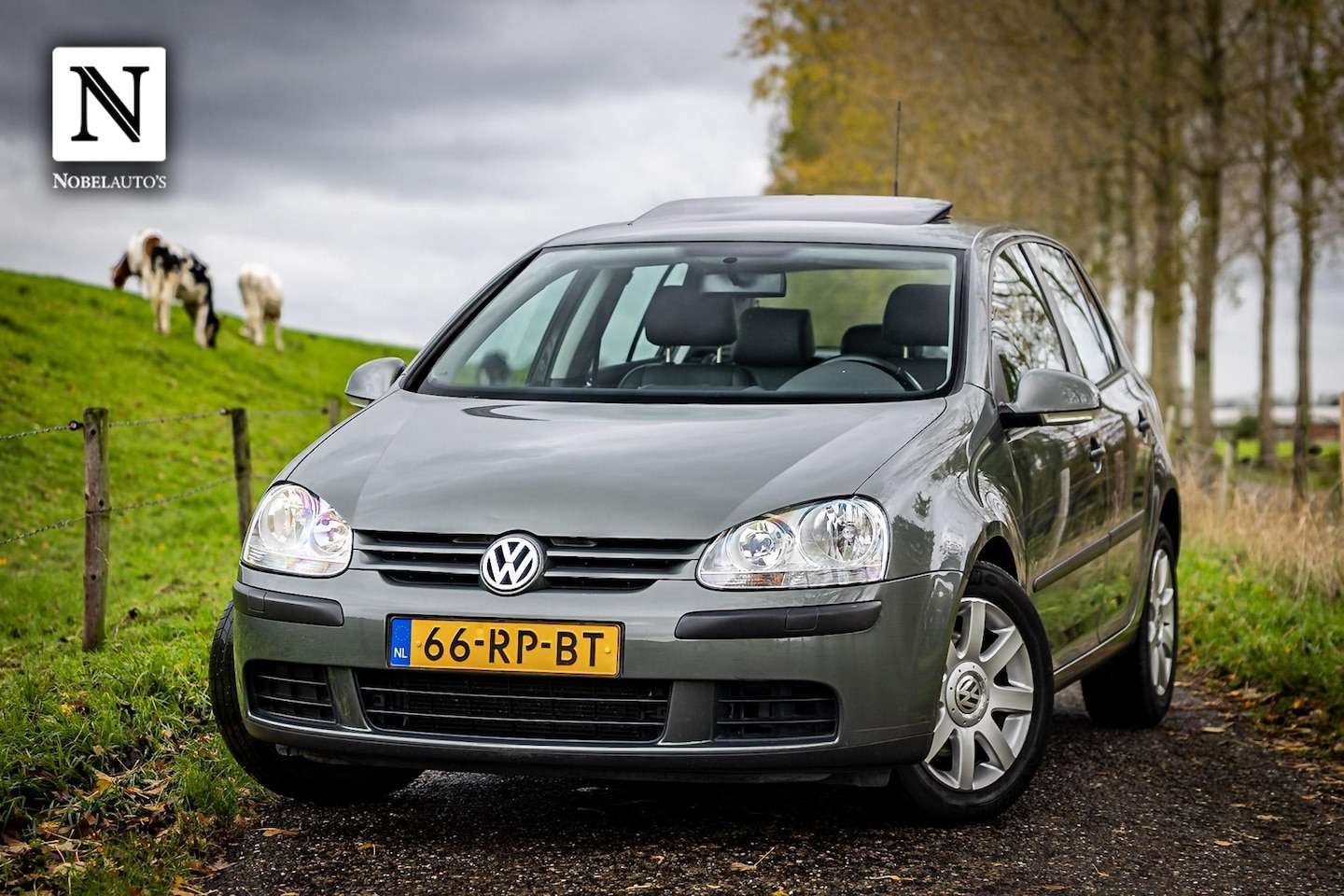 Volkswagen Golf - 2.0 FSI Comfortline 4Motion | Nap | 5 Deurs - AutoWereld.nl