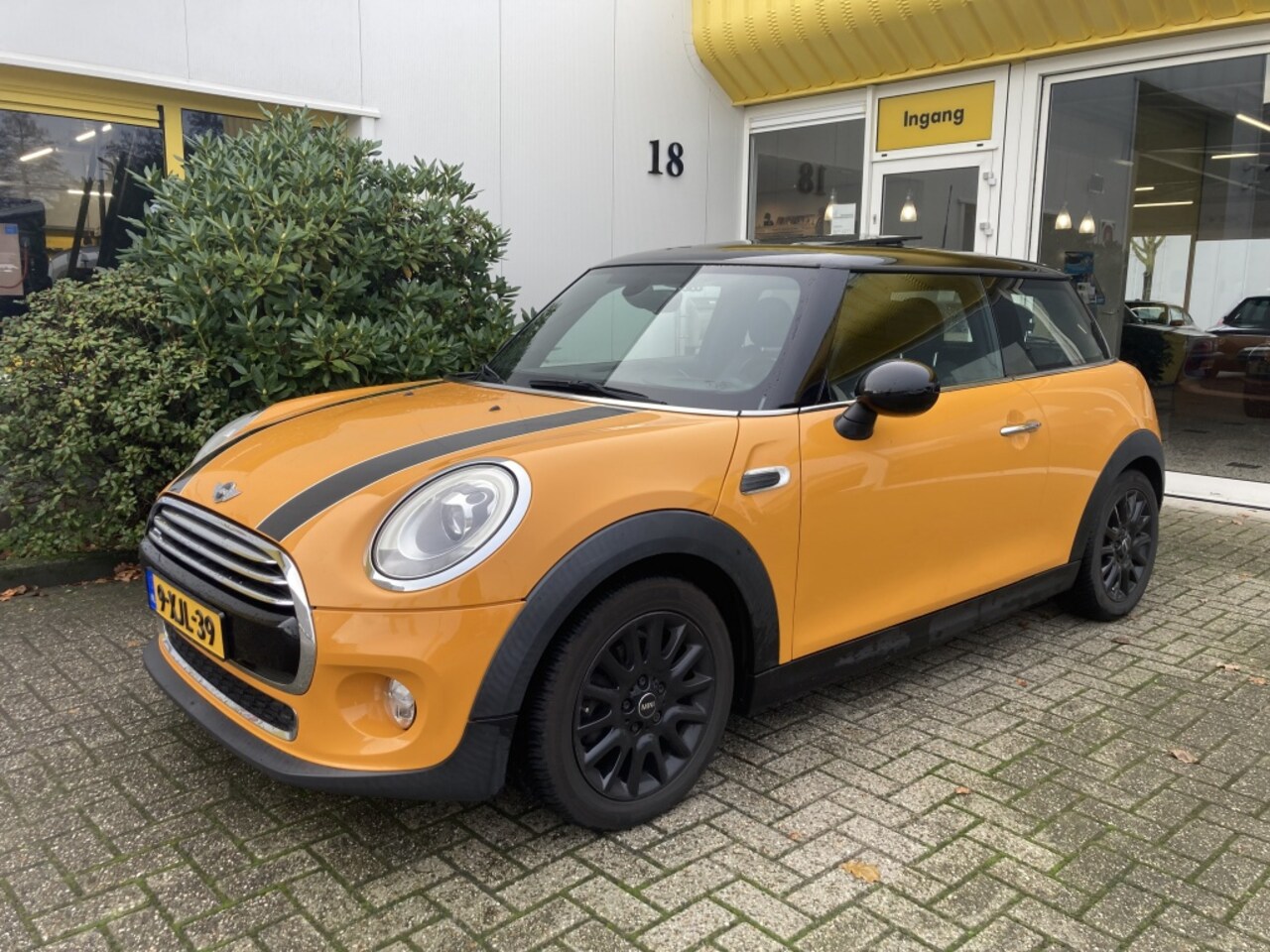 MINI Cooper - Mini 1.5 First Born Edition Panodak Head-Up Harman/Kardon - AutoWereld.nl
