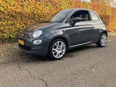 Fiat 500 - 1.0 Hybrid Carplay 16" lmv