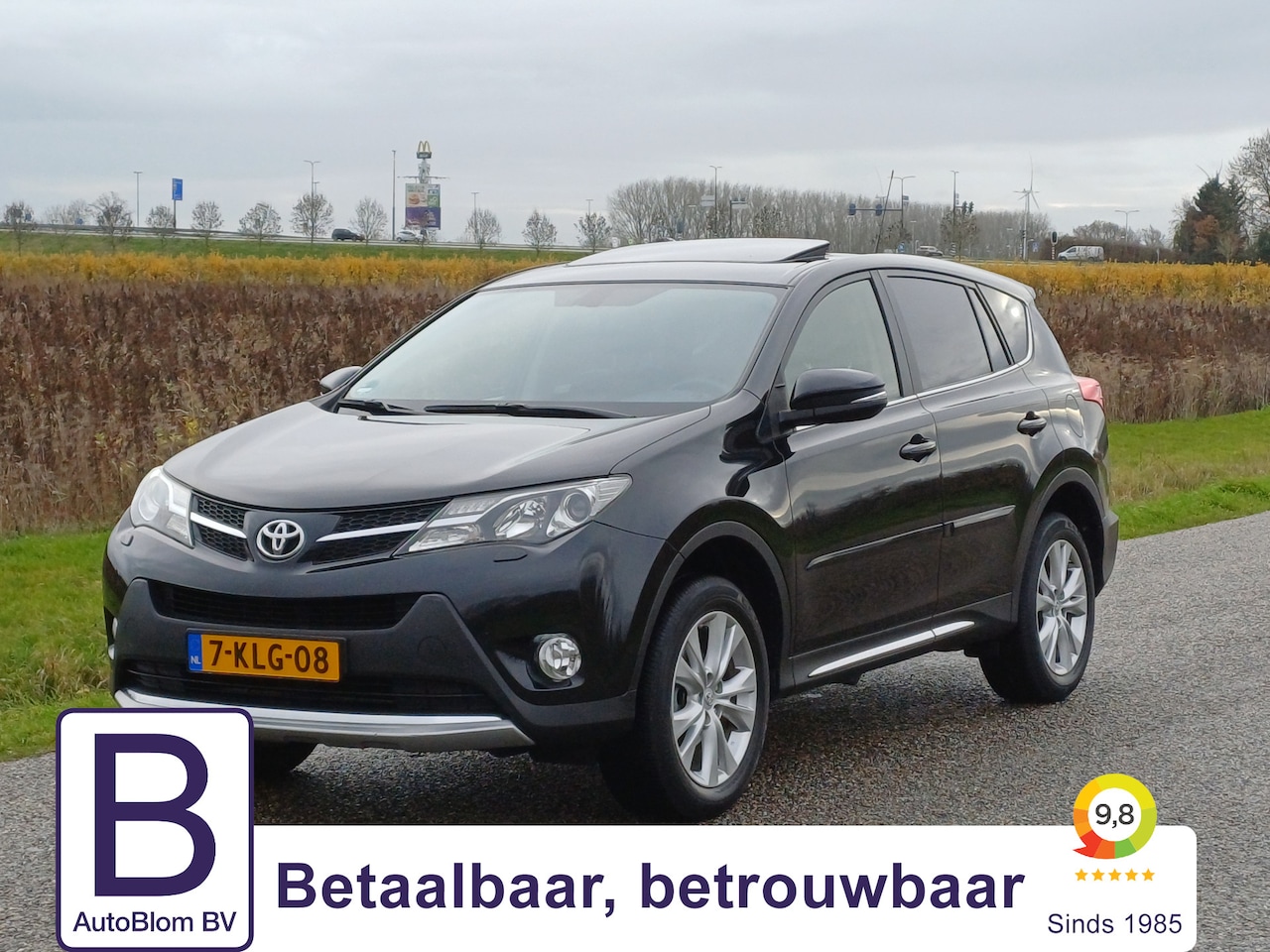 Toyota RAV4 - 2.0 Executive Business 4WD /Schuifdak/Trekh./Clima/Navi/Leder/Camera/ - AutoWereld.nl