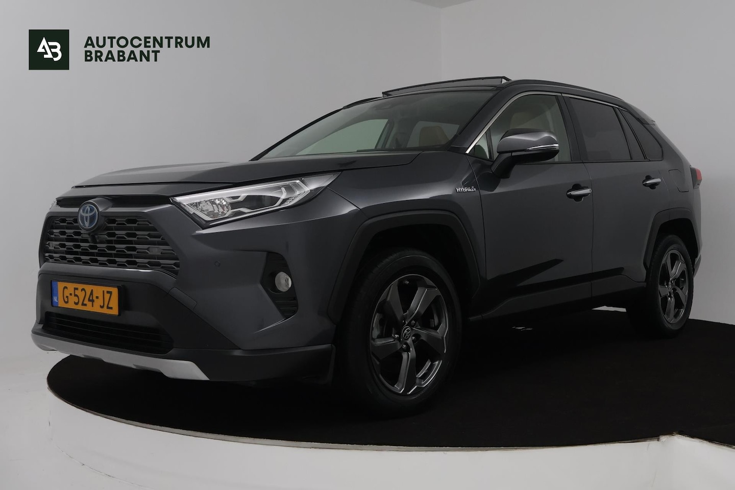 Toyota RAV4 - 2.5 Hybrid Executive (PANORAMADAK, ELEKTR STOELEN, CAMERA, STOELVERWARMING, NAVIGATIE, CRU - AutoWereld.nl