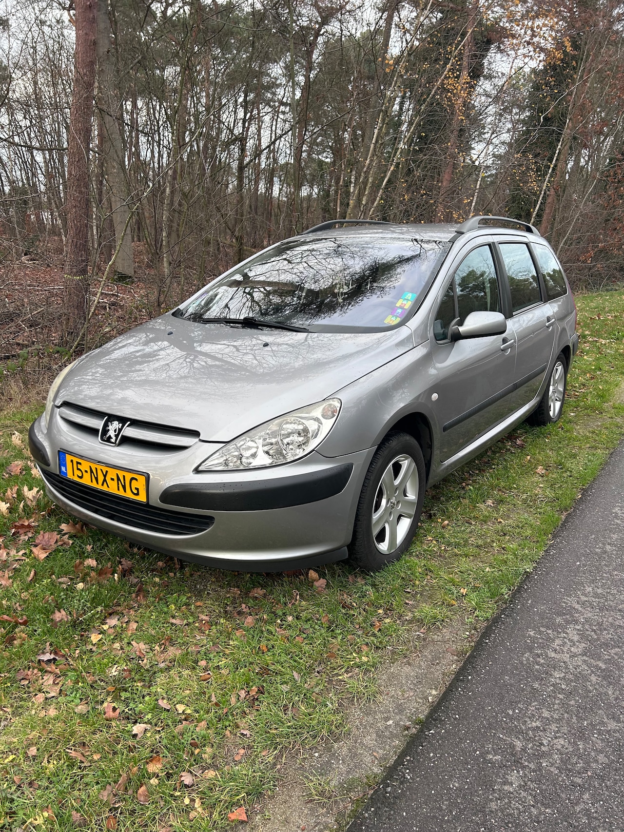 Peugeot 307 Break - 2.0-16V XT Pack - AutoWereld.nl