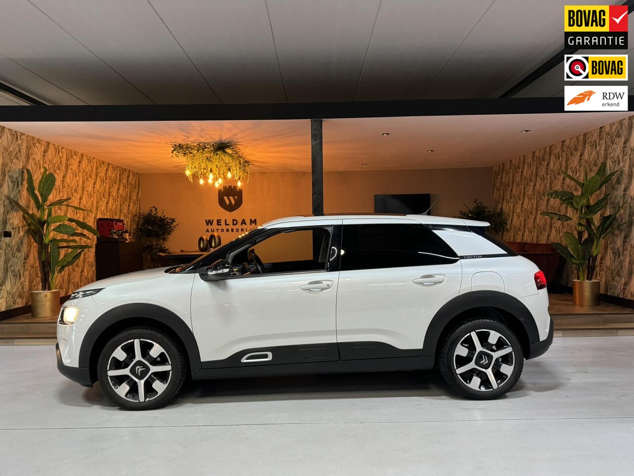 Citroën C4 Cactus - 1.2 PureTech Shine Garantie NAP Trekhaak Pano StoelVW Carplay Camera Cruise Clima Navi PDC - AutoWereld.nl