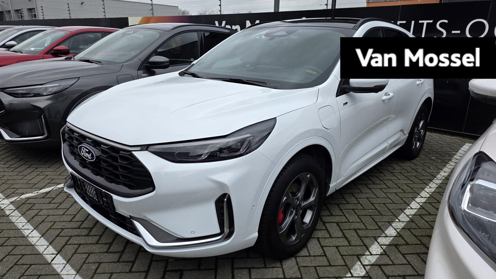 Ford Kuga - 2.5 PHEV ST-Line X 2.5 PHEV ST-Line X - AutoWereld.nl