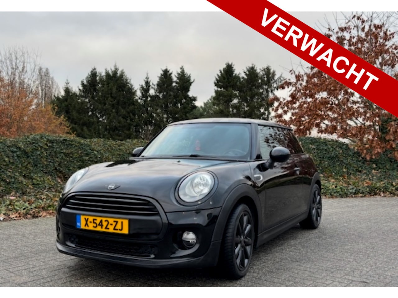 MINI One - Mini 1.2 Black Edition Airco Stoelverwarming 17" Pdc - AutoWereld.nl