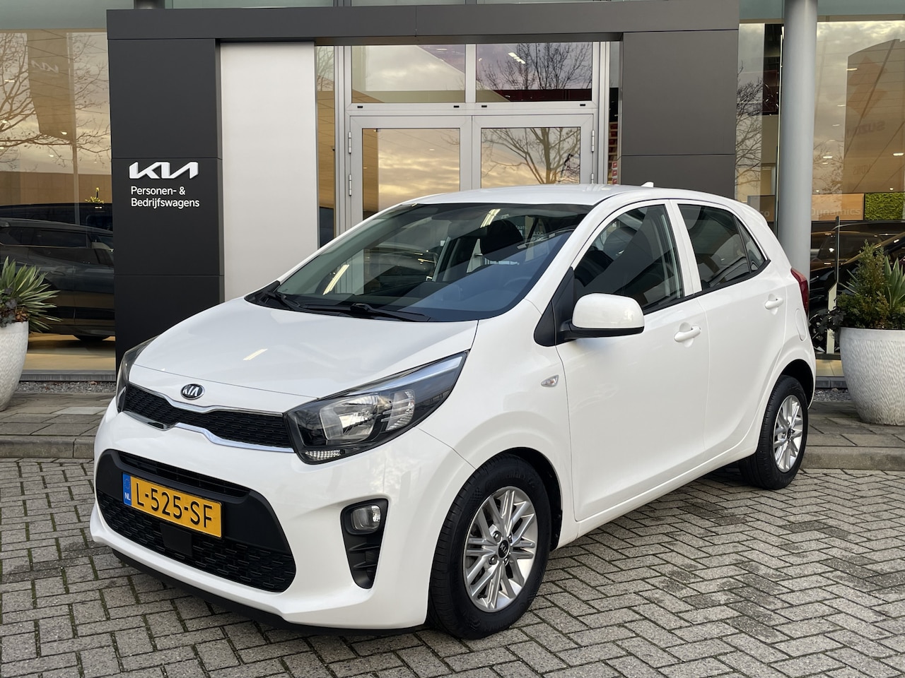 Kia Picanto - 1.0 DPi DynamicLine | CarPlay | Camera | LMV | Info Bas: 0492-588982 Info Bas: 0492-588982 - AutoWereld.nl