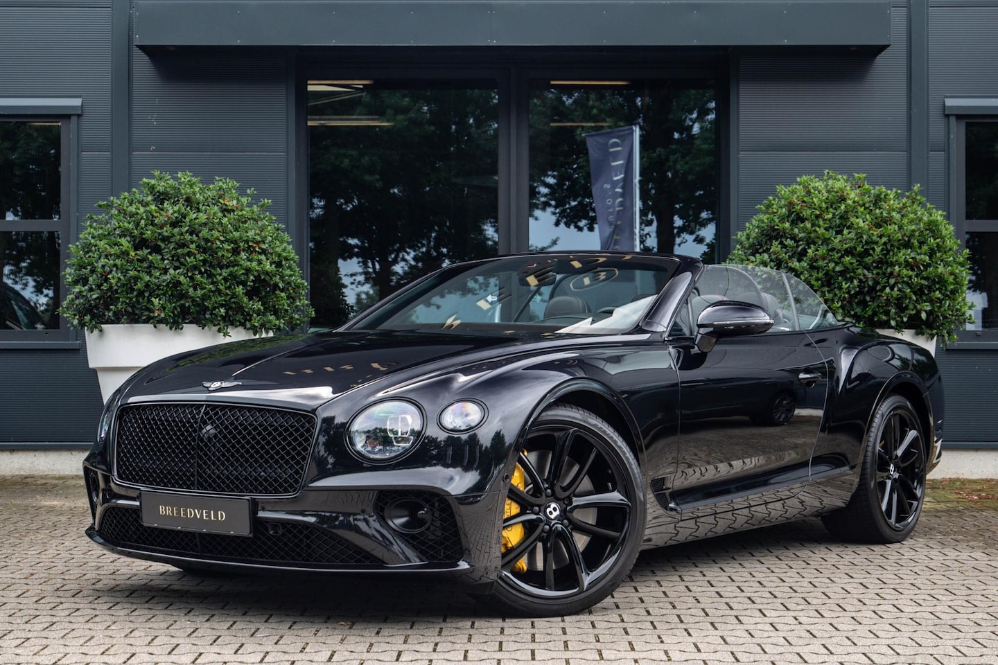 Bentley Continental GTC - 4.0 V8 First Edition - AutoWereld.nl