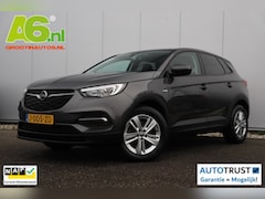Opel Grandland X - 1.2 Turbo Business Edition 131PK Navigatie Carplay Android Airco Cruise Control LMV Rijstr