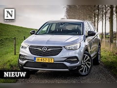 Opel Grandland X - 1.6 Turbo Business Executive | Nap | Leder