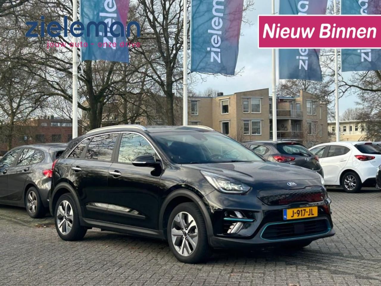 Kia Niro - E-niro ExecutiveLine 64 kWh - Leer, Navi, Cruise, Stuur/stoelverw. - AutoWereld.nl