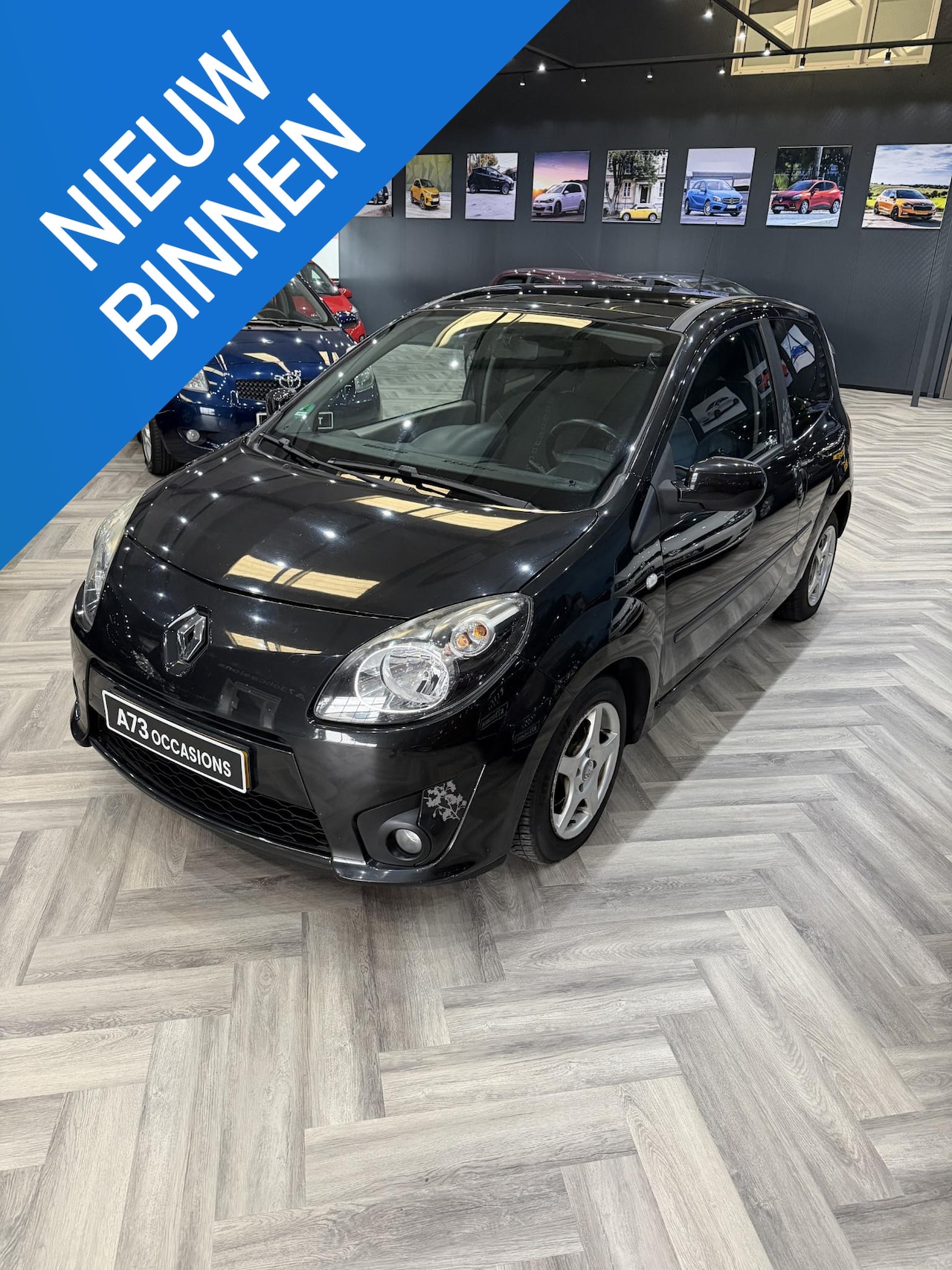 Renault Twingo - 1.2-16V Collection 1.2-16V Collection - AutoWereld.nl