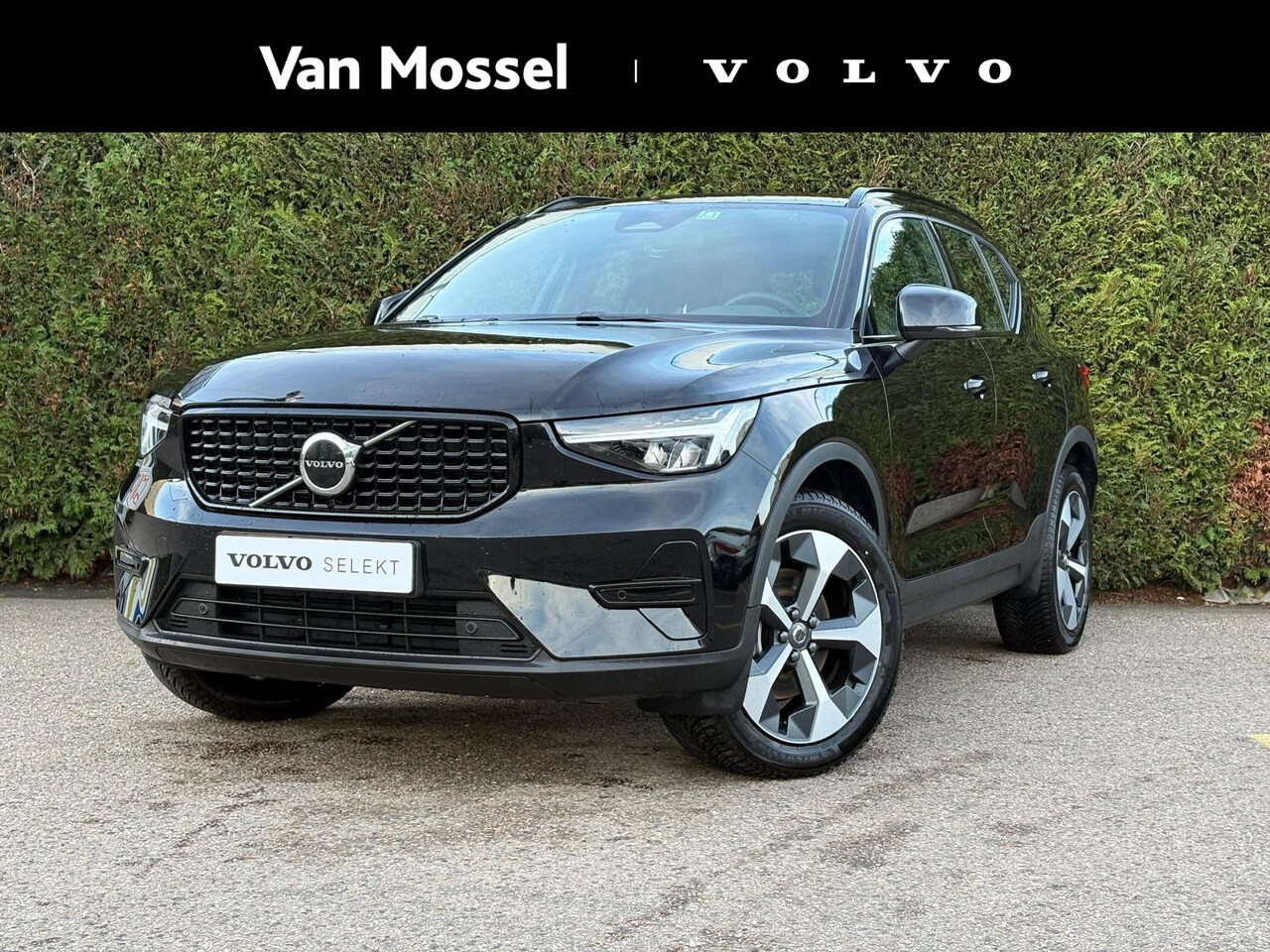 Volvo XC40 - B4 Plus Dark | Harman/Kardon | Memory | Stoel/Stuur Verwarming | - AutoWereld.nl