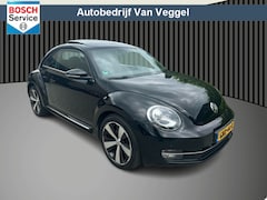 Volkswagen Beetle - 1.2 TSI highline xenon, pano, cruise, stoelverw