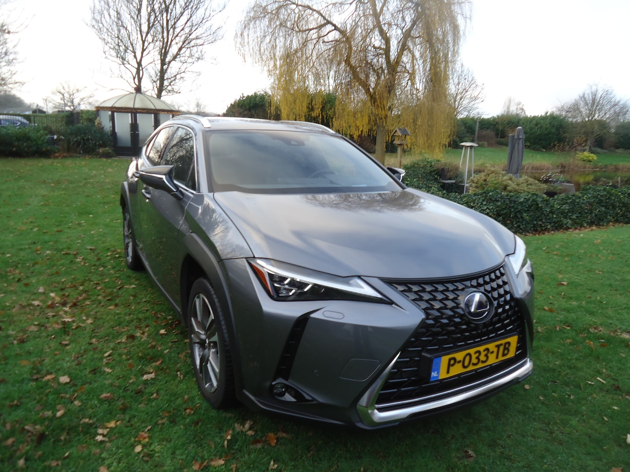 Lexus UX - 300e Executive Mark Levinson Full option