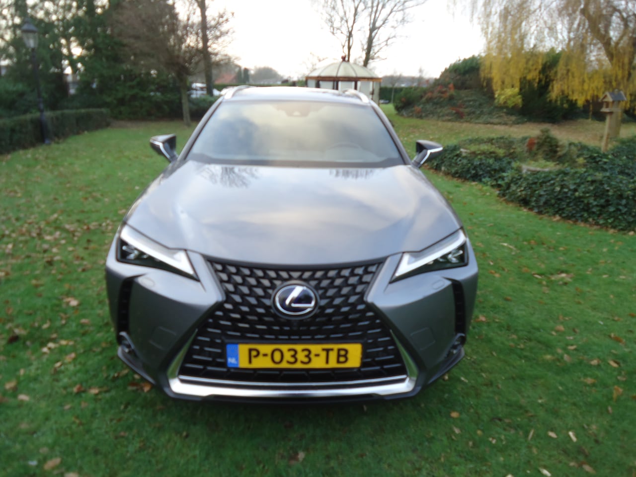 Lexus UX - 300e Executive Mark Levinson Full option