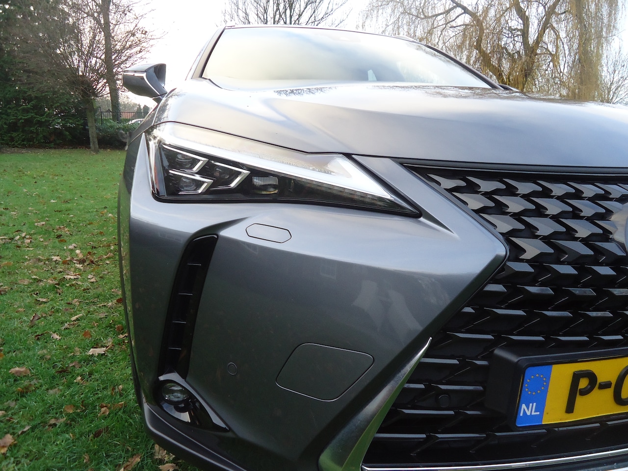 Lexus UX - 300e Executive Mark Levinson Full option