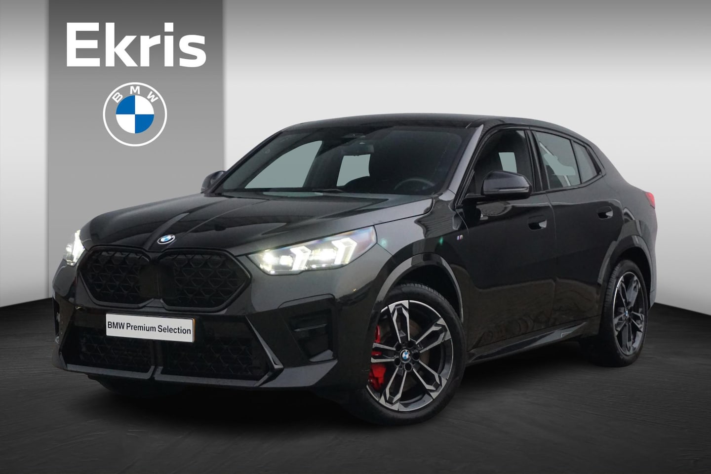 BMW X2 - sDrive18d M Sportpakket Pro 19'' / Harman Kardon / Trekhaak / Parking Assistant - AutoWereld.nl