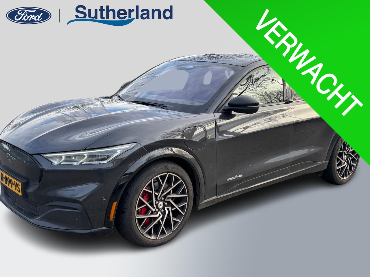 Ford Mustang Mach-E - AWD 75 kWh | Panoramadak | Memory stoelen | Bang&Olufsen | Elektrische achterklep - AutoWereld.nl