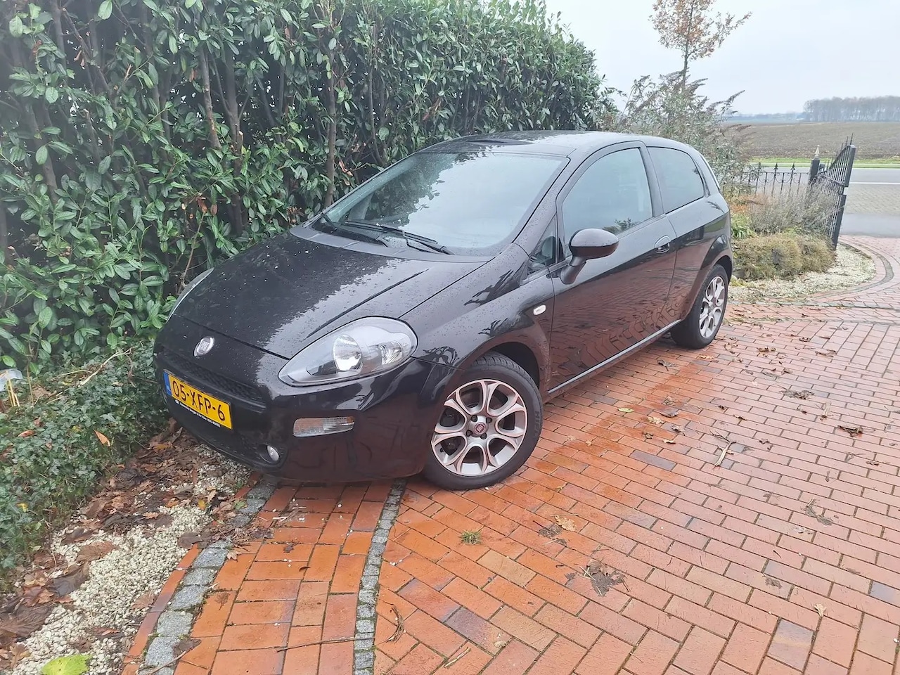 Fiat Punto Evo - 1.3 M-Jet Lounge - AutoWereld.nl