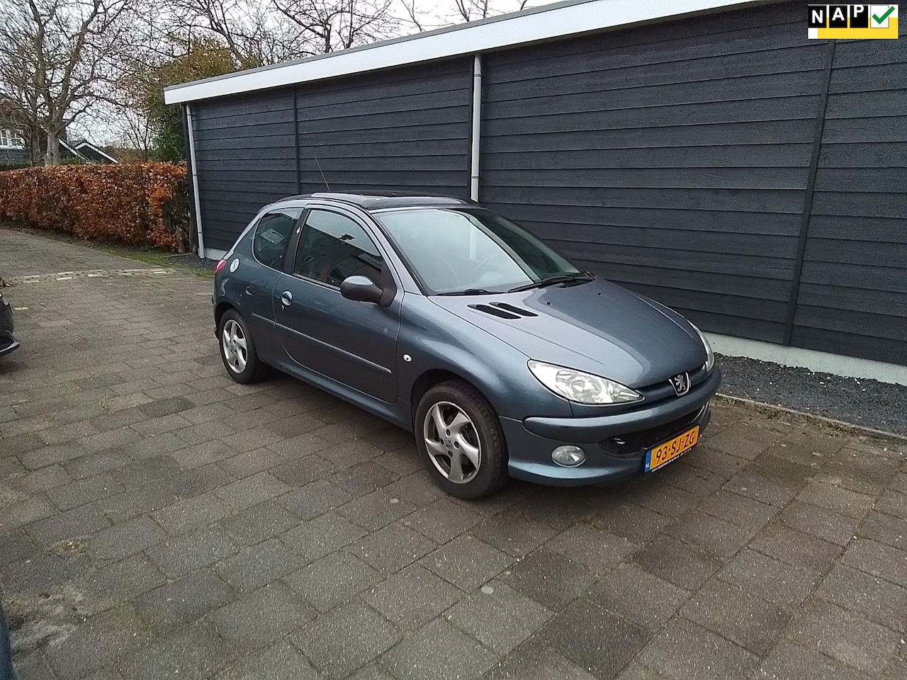 Peugeot 206 - 1.6-16V Air-line Airco/ panaramadak sport uitvoering - AutoWereld.nl