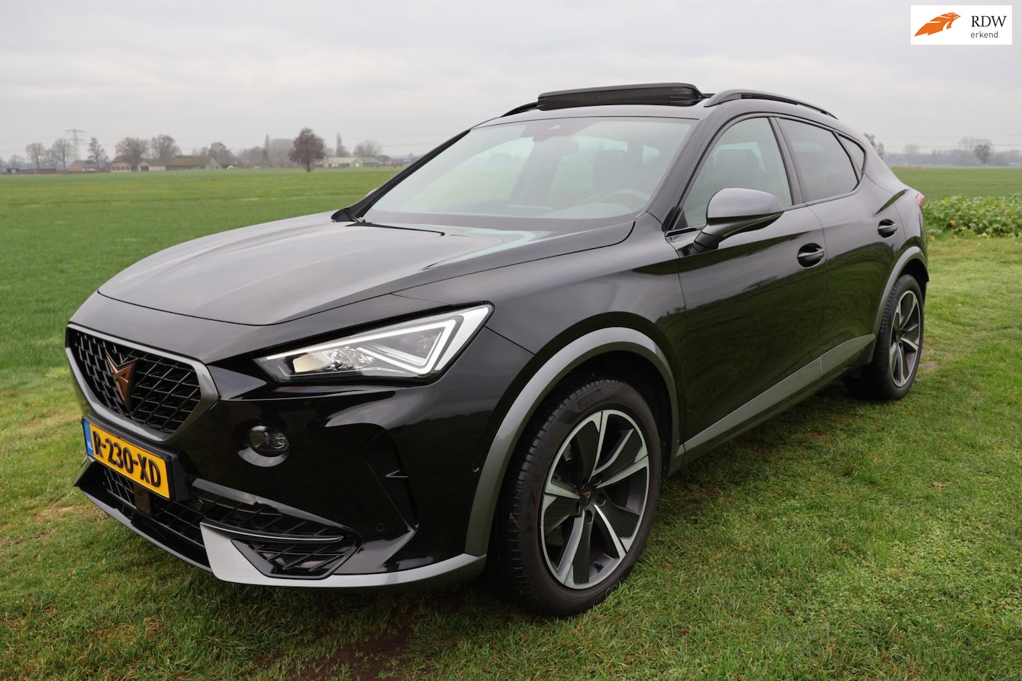 CUPRA Formentor - 1.5 TSI Business Edition|Pano-dak|Carplay|Stoel/stuurverwarming|Camera - AutoWereld.nl