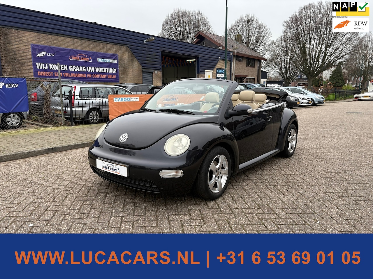 Volkswagen New Beetle Cabriolet - 1.6 - AutoWereld.nl