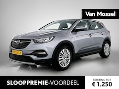 Opel Grandland X - 1.6 Turbo Business Executive | Trekhaak | LMV | Parkeer sensoren | Navigatie | Apple carpl