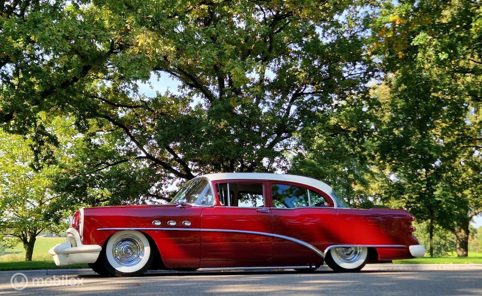 Buick Special - special - AutoWereld.nl
