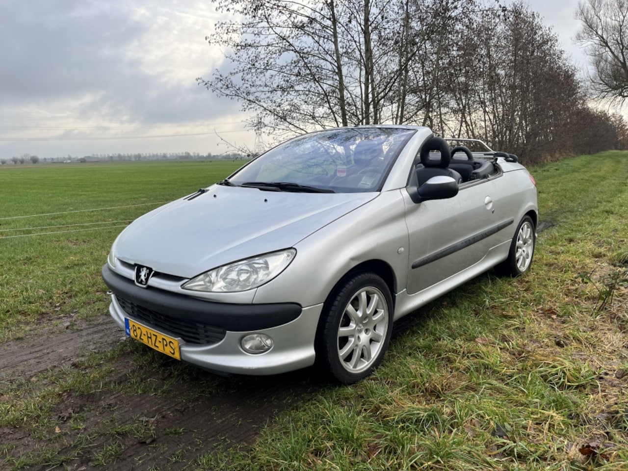 Peugeot 206 CC - 2.0-16V 2.0-16V - AutoWereld.nl