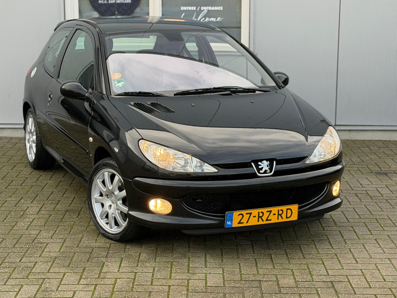 Peugeot 206 - 2.0-16V GTI mooie auto - AutoWereld.nl