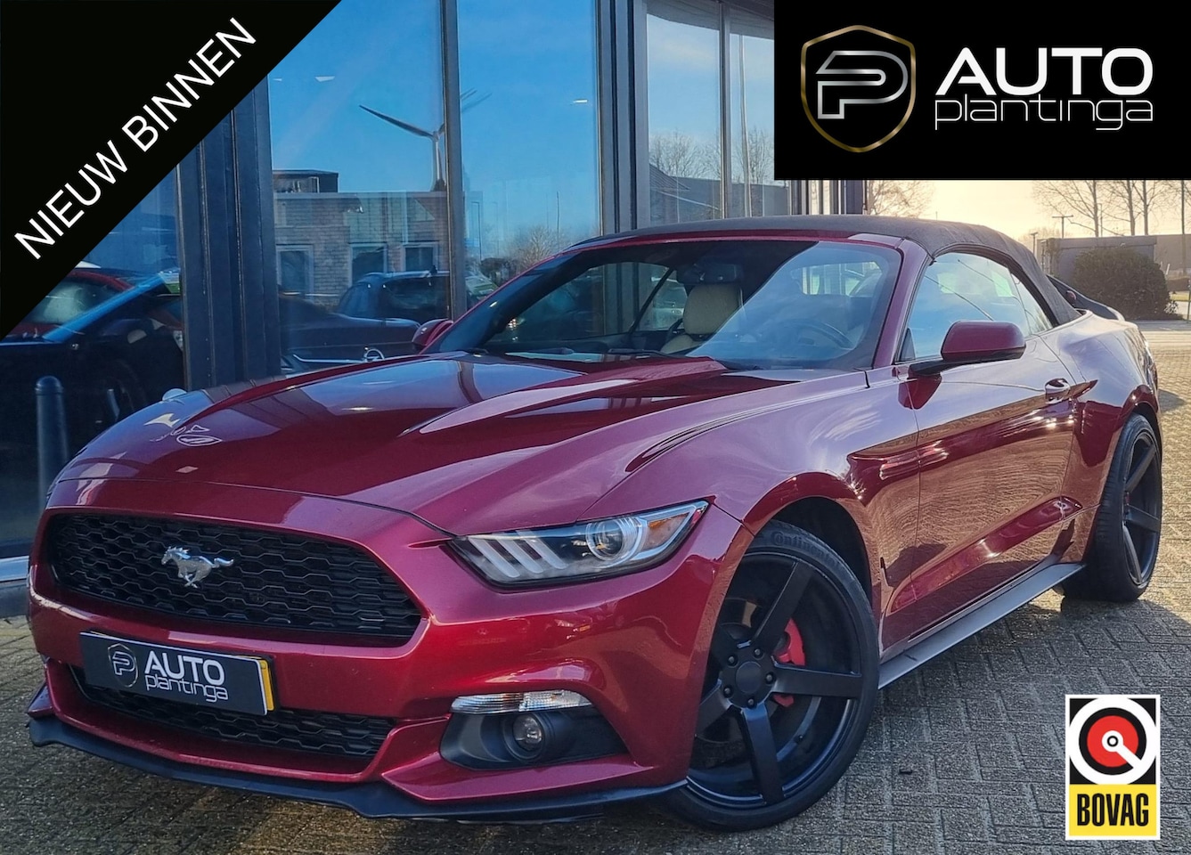 Ford Mustang Convertible - 2.3 EcoBoost 317PK | Grote Beurt gehad Dec 2025 | Achteruitrijcamera | Keyless Enrty | Cru - AutoWereld.nl