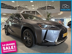 Lexus UX - 250h Luxury Line, Leder, Camera, Navi, LED, DAB+