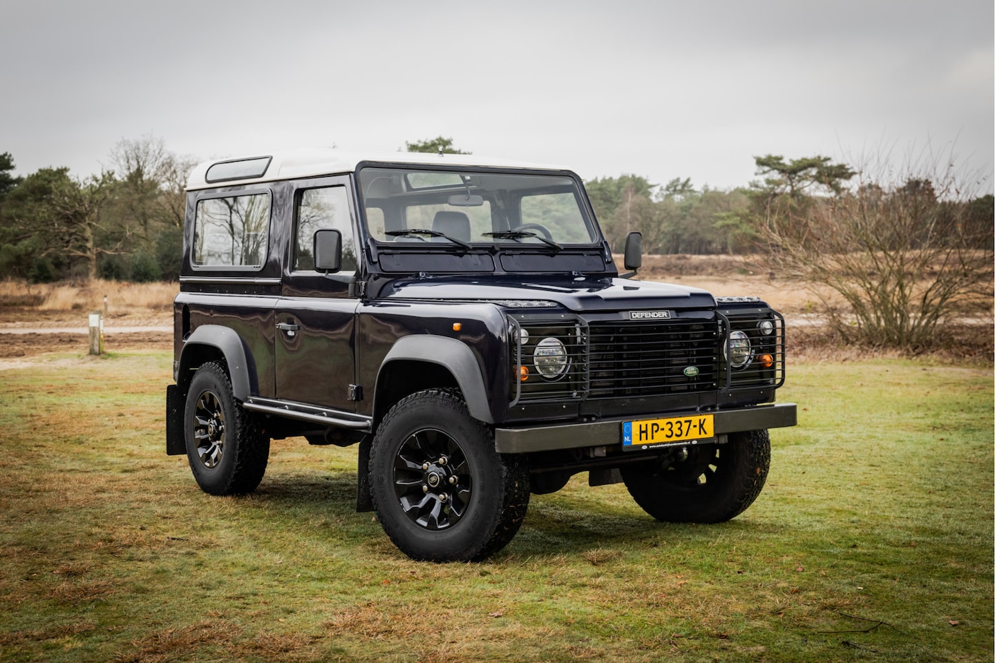 Land Rover Defender 90 - V8 Station Wagon Automaat - AutoWereld.nl