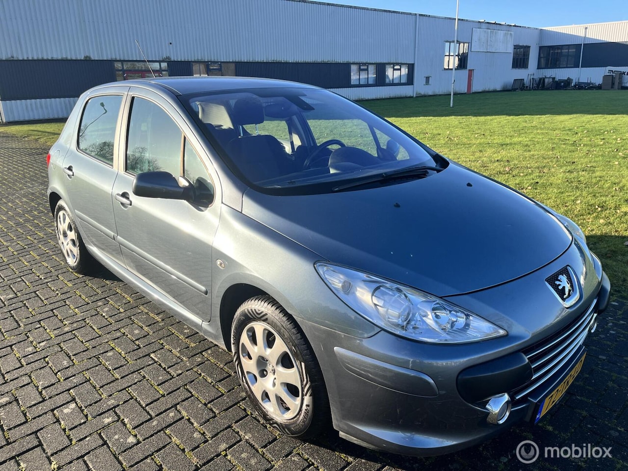 Peugeot 307 - 1.6-16V Premium Automaat / Airco / Trekhaak / APK / NAP / - AutoWereld.nl
