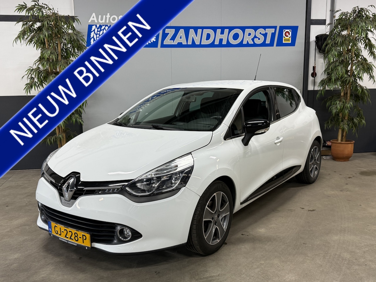 Renault Clio - 0.9 TCe ECO Night&Day // LM velgen // Cruise - AutoWereld.nl