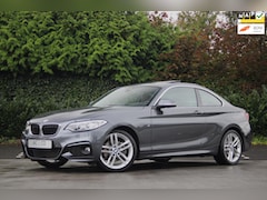 BMW 2-serie Coupé - 220iA High Executive NL auto - Volledige historie
