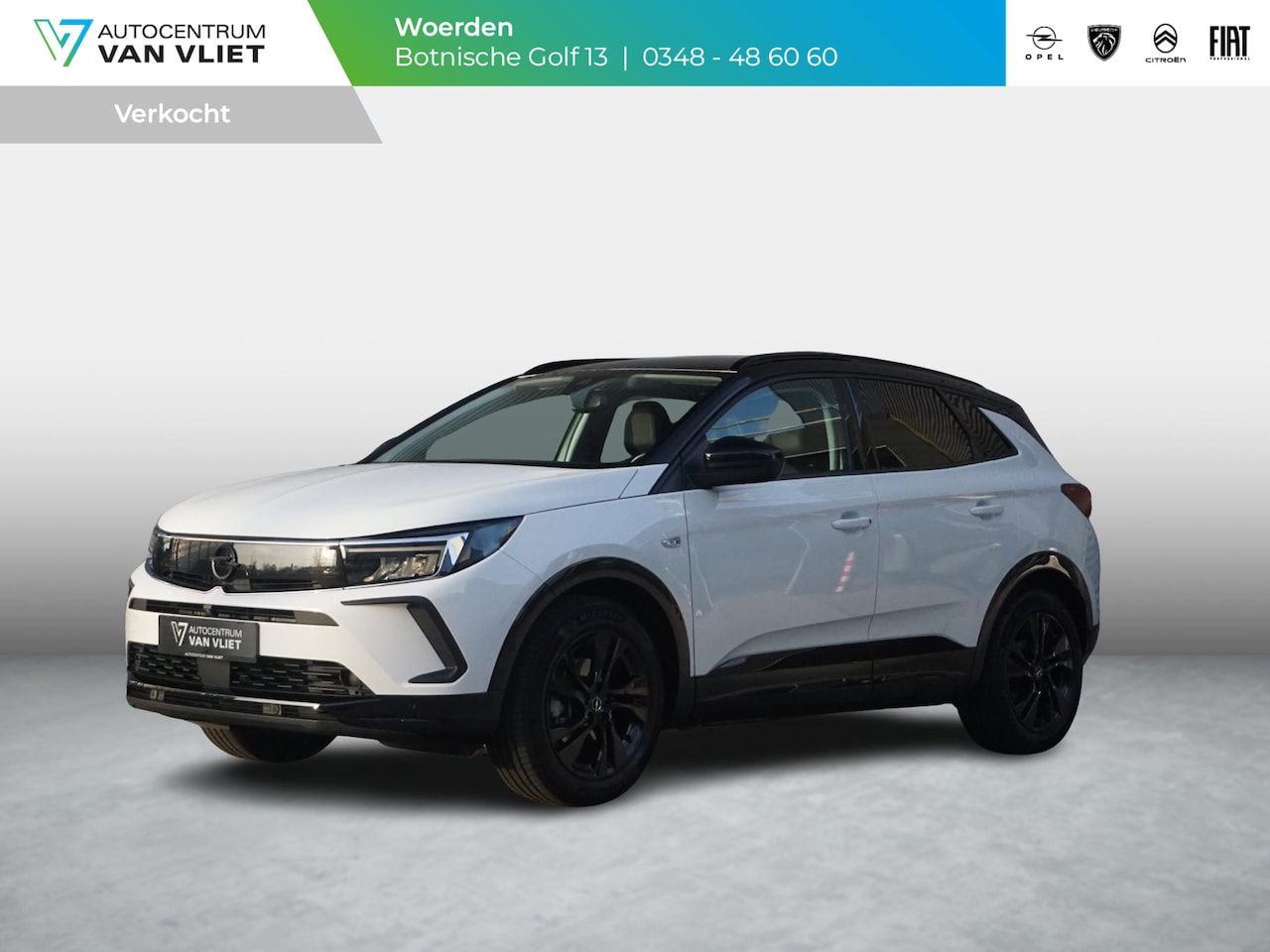 Opel Grandland - 1.2 Turbo Business Elegance Trekhaak - AutoWereld.nl