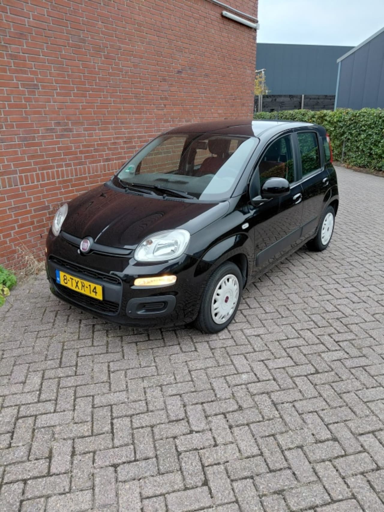 Fiat Panda - 0.9 TwinAir Ed. Cool - AutoWereld.nl