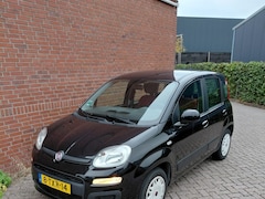 Fiat Panda - 0.9 TwinAir Ed. Cool
