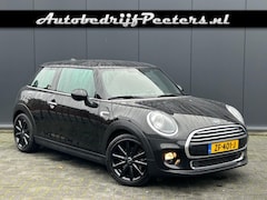 MINI One - 1.5 Pepper 1e eigenaar Airco Sportstuur Sportvelgen NL-auto