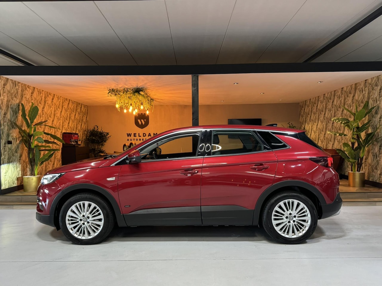 Opel Grandland X - 1.6 Turbo Hybrid4 Innovation Garantie Camera Elek Achterklep Carplay Blindspot Cruise Clim - AutoWereld.nl