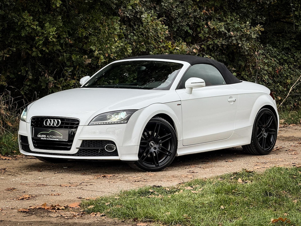 Audi TT Roadster - 2.0 TFSI quattro S-Line | Audi Exclusief leder | Stoelverw. | Clima | Cruise | PDC | - AutoWereld.nl