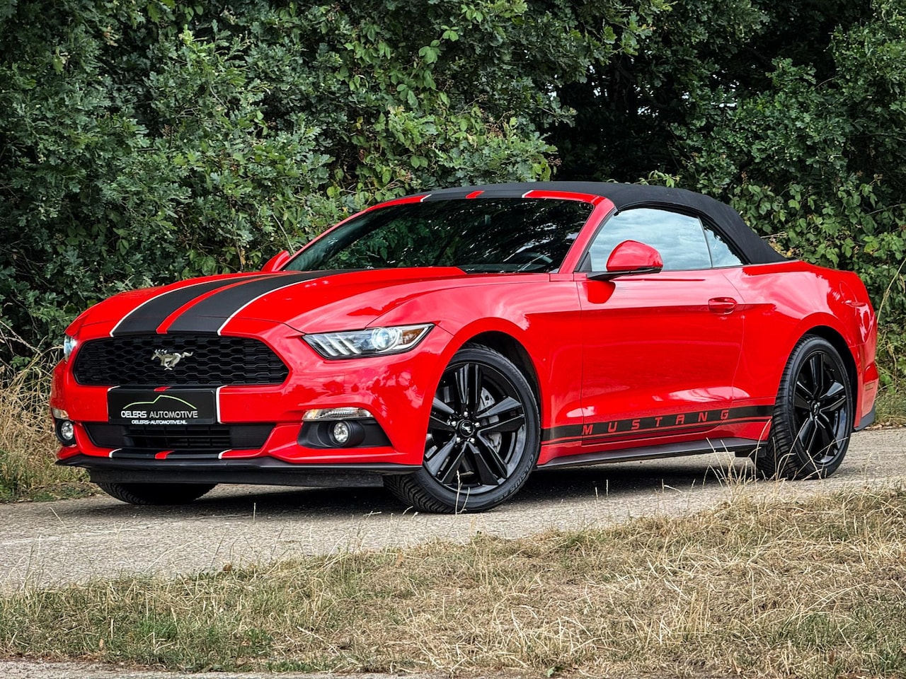 Ford Mustang Convertible - 2.3 EcoBoost | 1e eig. | Europees | Clima | Cruise | Navi | Stoelventilatie | Leder | PDC - AutoWereld.nl