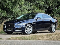 Jaguar XF - 2.0 Prestige | Org. NL | Dealer ond. | Leder | Navi | Clima | Cruise | Stuurwiel verw. | M