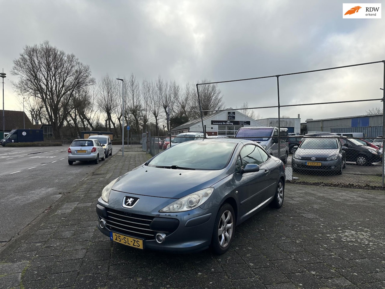 Peugeot 307 CC - 2.0-16V 2.0-16V - AutoWereld.nl