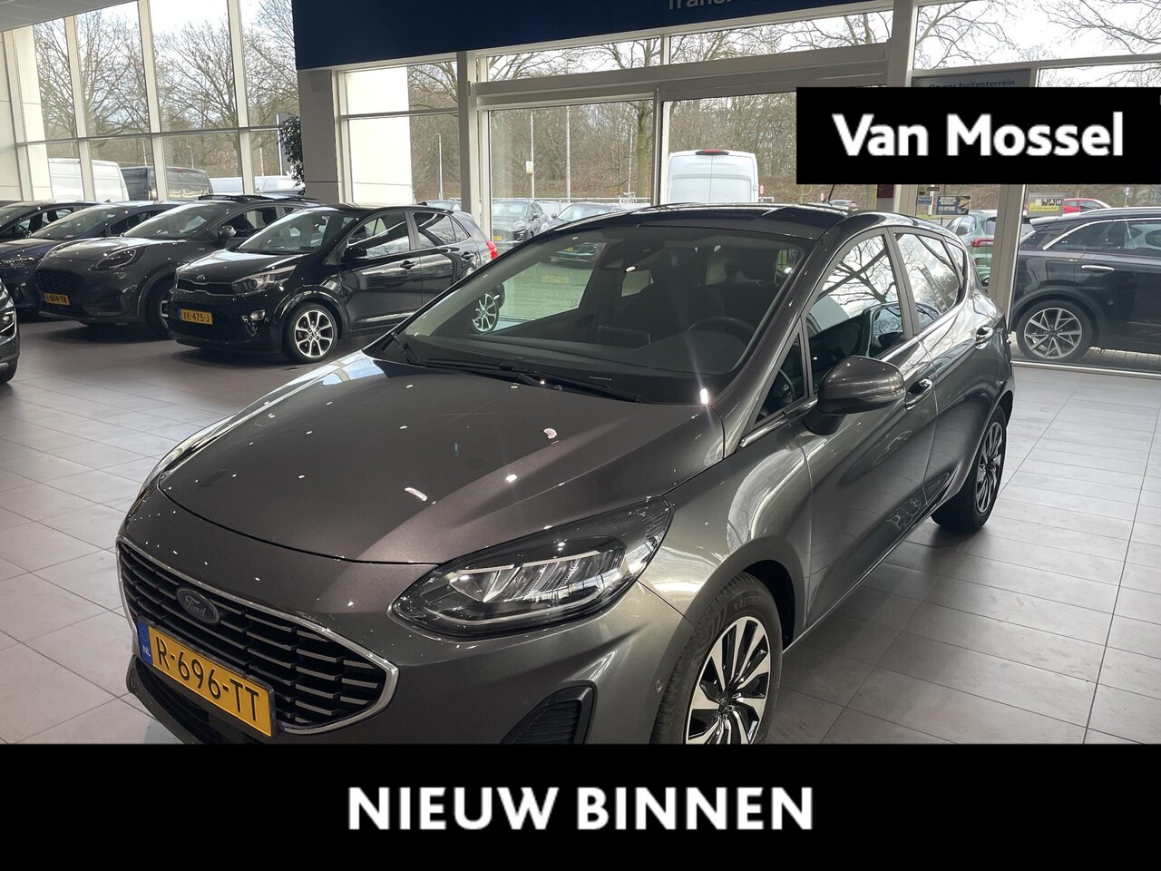 Ford Fiesta - 1.0 EcoBoost Hybrid Titanium Camera Stoelverwarming Adap.cruisecontrole  ECC - AutoWereld.nl