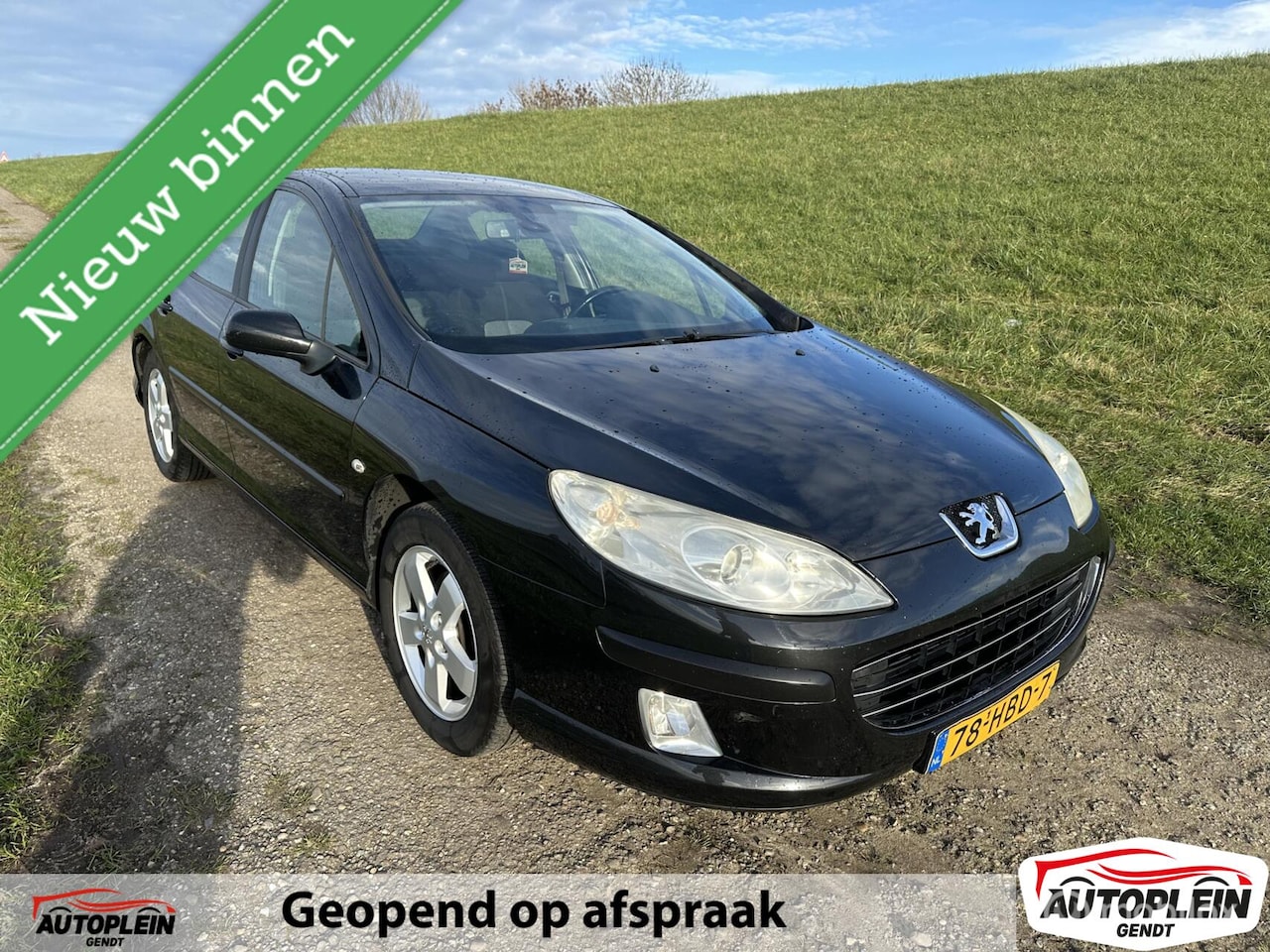 Peugeot 407 - 1.8 SR Pack Business HEEL MOOI! - AutoWereld.nl